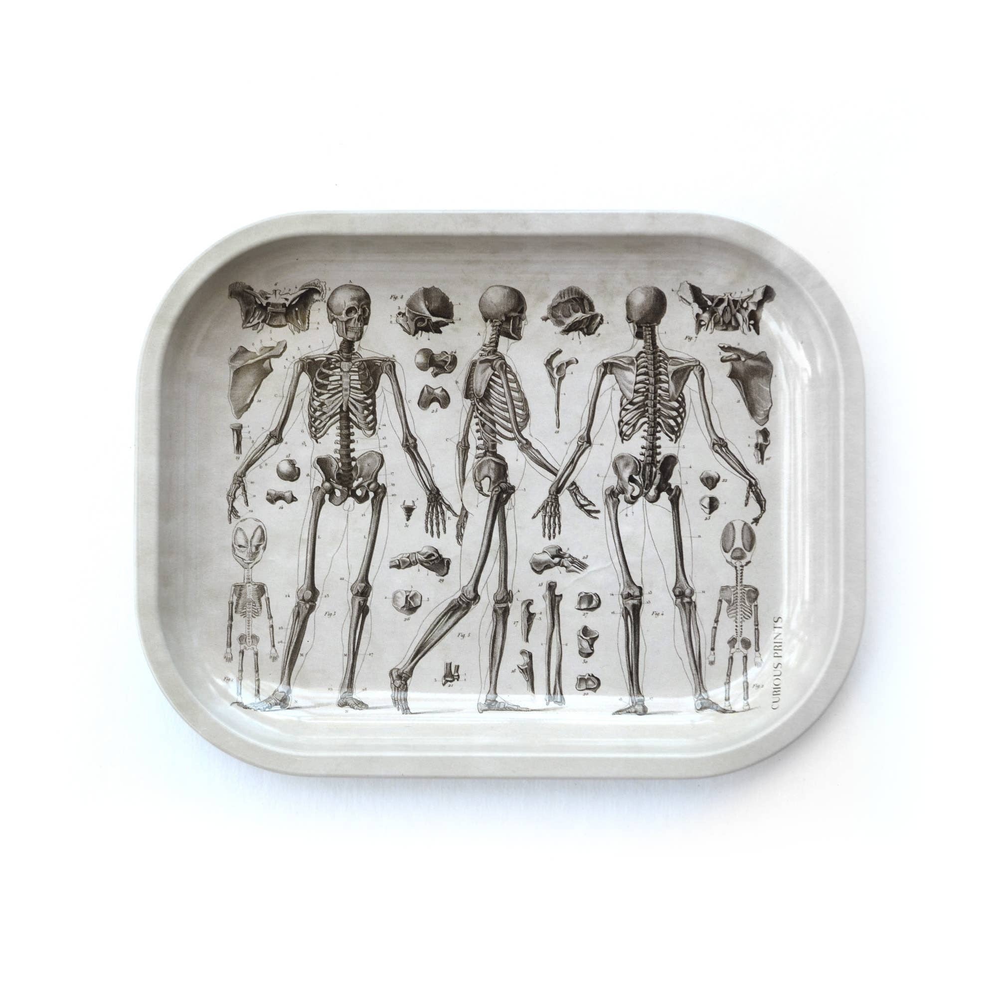 Antique Skull Holding Slot Storage Small Tray